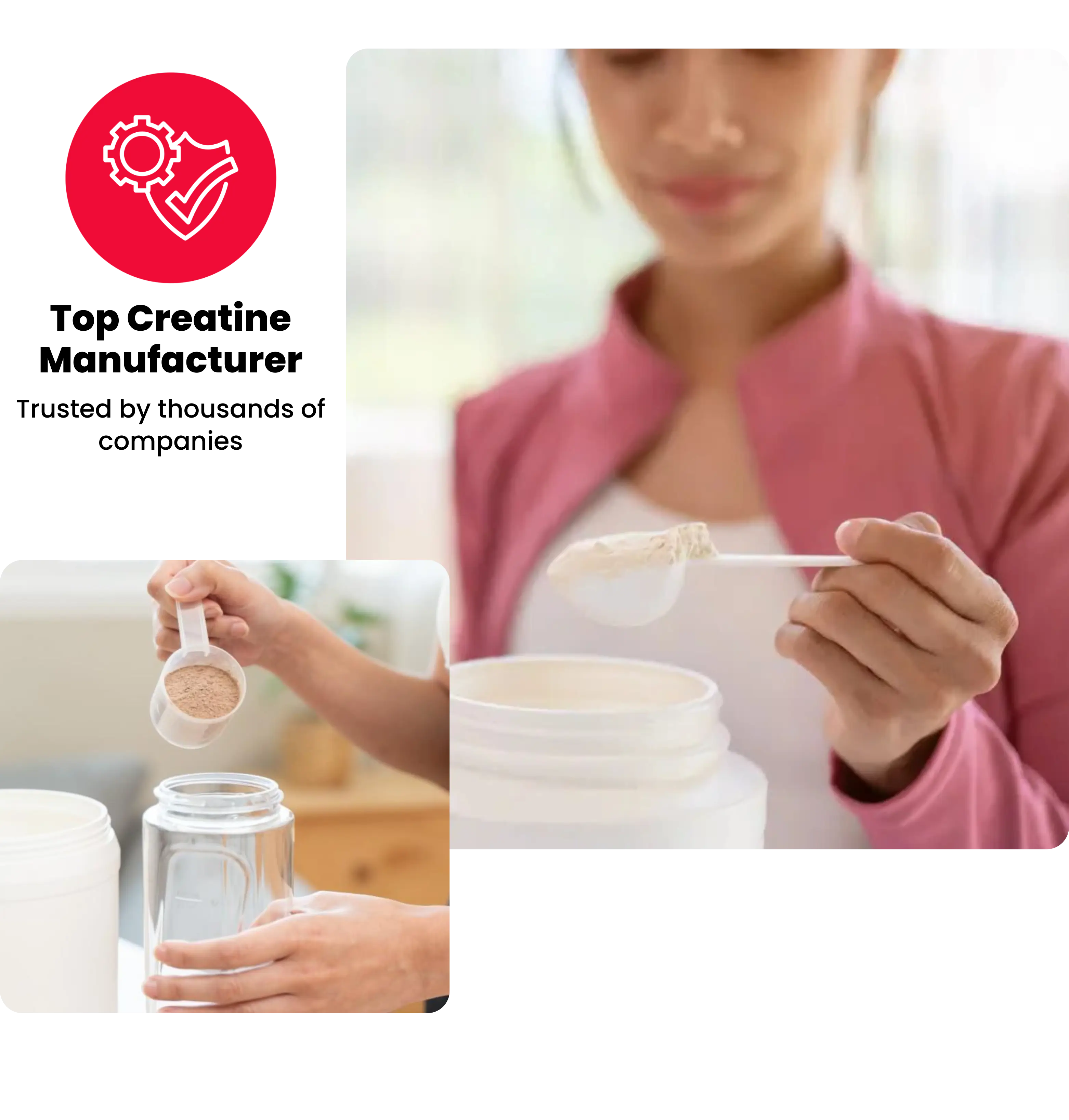 creatine manufacturers