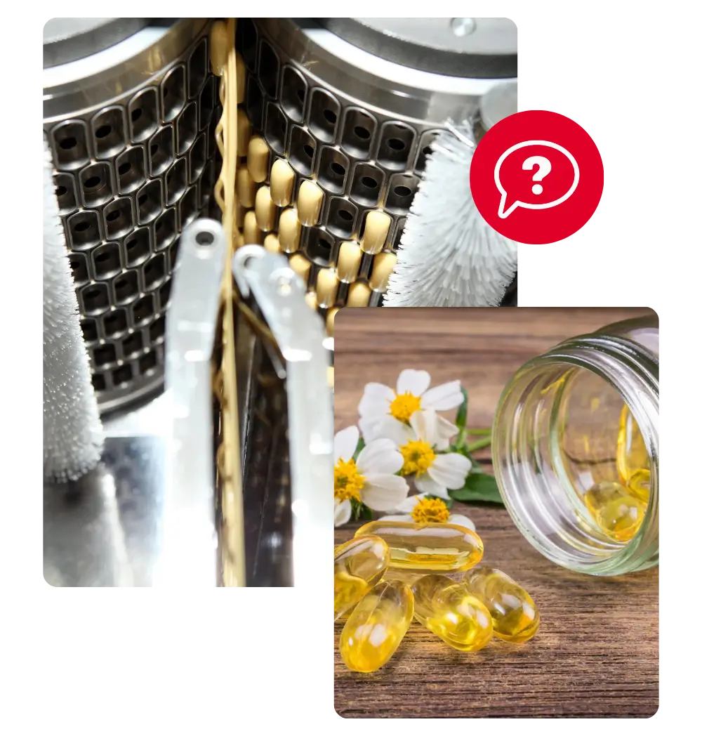 gelatin capsule manufacturers