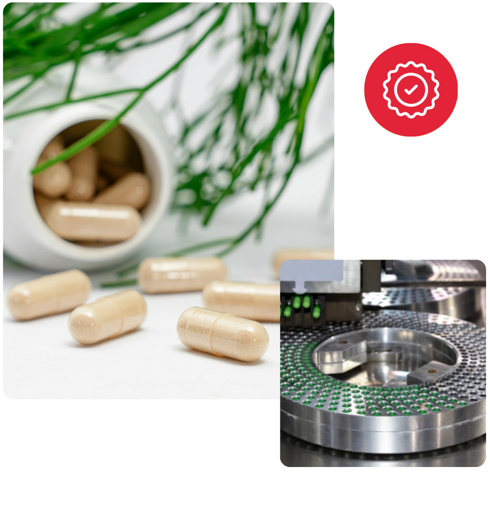 Custom Vegetarian Capsule Manufacturing Service