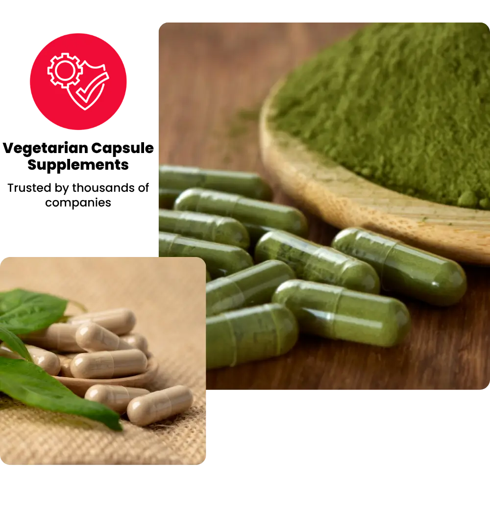 Top Vegetarian Capsule Manufacturing Company in the USA